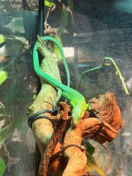 -Zoolung Zoolung动物主题公园(海信广场店)