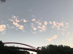 -金鸡山公园