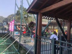 -梦幻奥陶纪景区