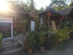 -Jungle Kitchen