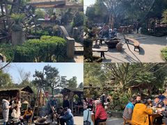 -青城甲(青城山店)