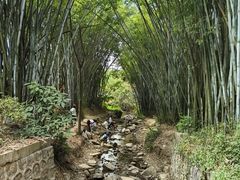 -田心森林公园