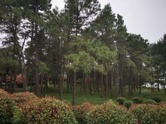 -南京枫彩漫城