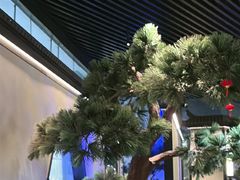 -绿茶餐厅(成都大悦城店)