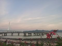 -深圳湾公园(南山区)
