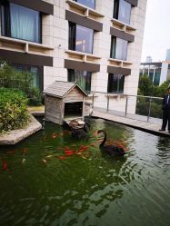 -南京圣和府邸豪华精选酒店-宴会厅婚宴·生日宴·宝宝宴