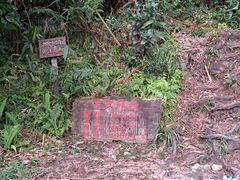 -海南热带雨林国家公园吊罗山景区