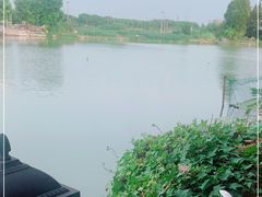 -水岸居湖景农家乐·阳澄湖大闸蟹