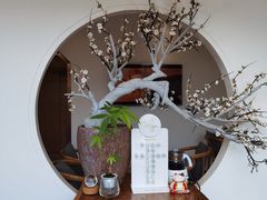 -不凡脑禅境·养生·舒压调理SPA(华发世纪城店)