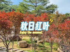 -广州市帽峰山景区