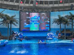-海合安成都极地海洋公园