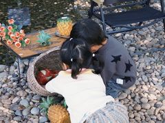 -HERRE·FARM 赫尔露营农场·团建聚会包场