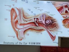 -自然之声助听器·呼吸机(康桥旗舰店)