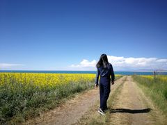 -青海湖国家重点风景名胜区