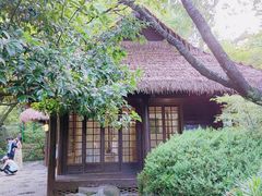 -中国茶叶博物馆(双峰馆区)