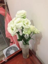 -苑苑vbeauty科技美容SPA