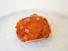 -福1015(愚园路店)