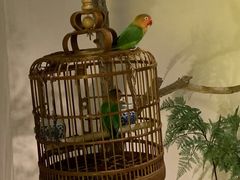 -小厨娘淮扬菜(六合欢乐港店)