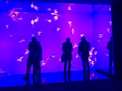 -瑞普利水族馆