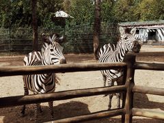 -大连森林动物园