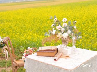 油菜花田里我的法式情怀