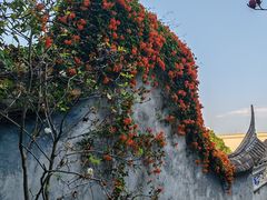 -乌山风景区