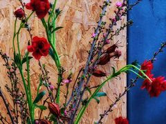 -The Flowers Coffee(南山店)