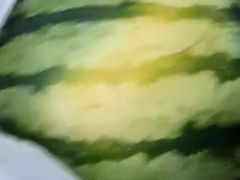 -百果园(奕淳公寓店)