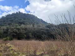 -广州市石门国家森林公园