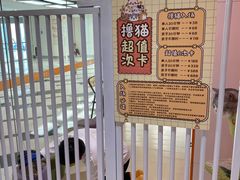 -三花喵·撸猫购宠·宠物生活馆(虹桥南丰城店)