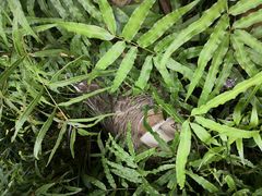 -云南滇池花园国际大酒店温泉