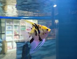 -酷嗒动物文化乐园(cutezoo西溪乐天城店)