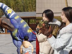 -中国西峡恐龙遗迹园