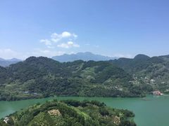 -大唐贡茶院
