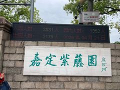 -嘉定紫藤园