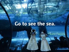 -乐从天佑城海洋馆