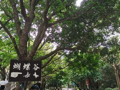 -水濂山森林公园