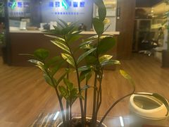 -肩颈管家·肩颈调理·经络养生(华景新城店)