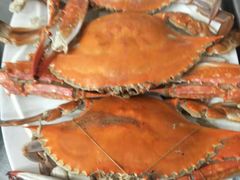 -渔家小院观海海肠捞饭地方菜(环海中路店)