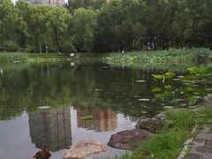 -吉林大学(前卫南区)