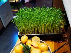 -煲宫猪肚鸡(晶品店)