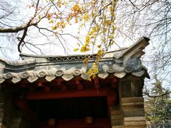 -青岛崂山太清宫