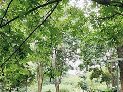 -成都市活水公园