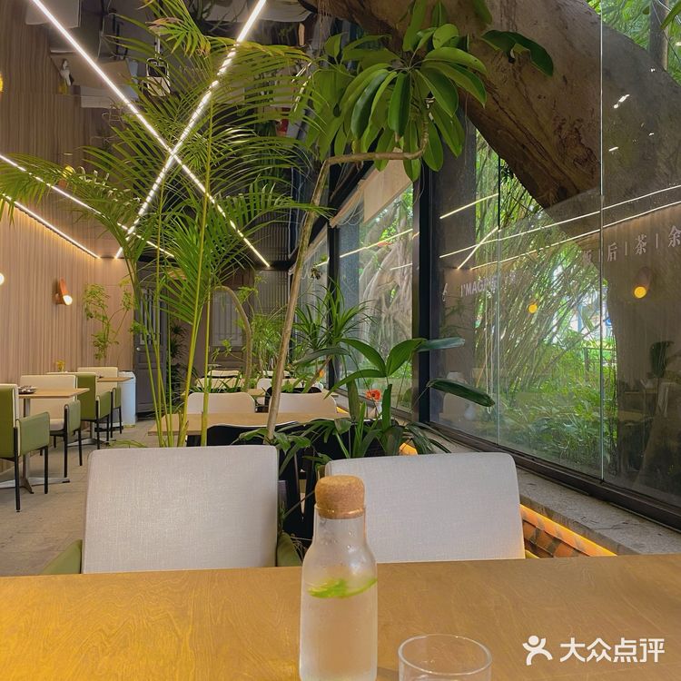 榕树下的西餐厅[强]