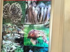 -野菌园·野生菌火锅首创第一家(关兴路总店)