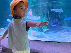 -沈阳海洋探索中心