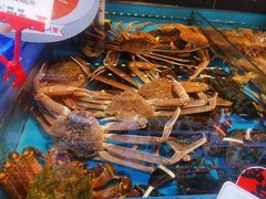 -必点海鲜·鲅鱼水饺(鞍山西道店)