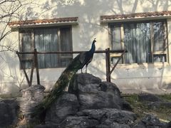 -舜耕山庄四时万和自助餐厅