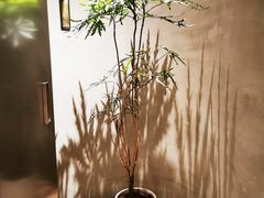 -二酉书店TOYOU BOOKS