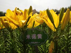 -长春公园(普阳街道)